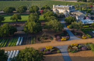 Kendall-Jackson Estate Winery & Gardens